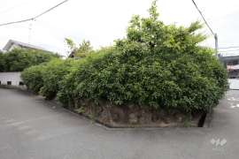 箕面市桜ケ丘3丁目 土地