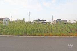 名古屋市港区東茶屋2丁目 土地