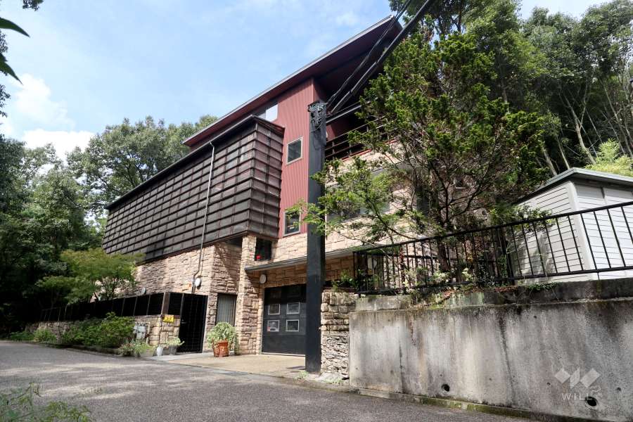 鉄緑会　化学の登竜門　物理の登竜門 Amazon.co.jp: 鉄緑会 物理の登竜門 力学 電磁気学 熱力学 原子