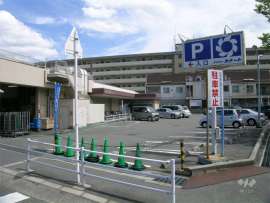 デイリーカナートイズミヤ 山田西店