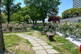 上坂部西公園14