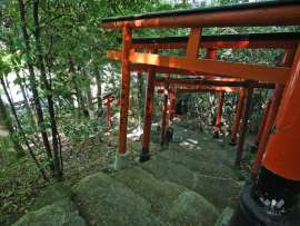 千吉稲荷神社8