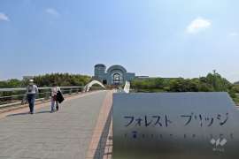 あいち健康の森公園6