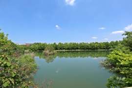 二ツ池公園2