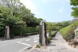知北平和公園2