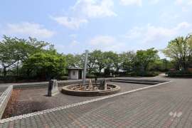 知北平和公園4