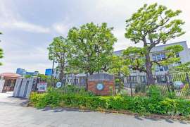 造幣局の桜の通り抜け2