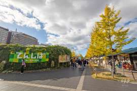 天王寺公園（天王寺動物園）3