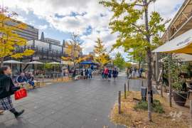 天王寺公園（天王寺動物園）5