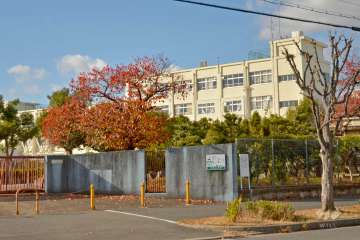 富田小学校