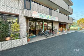 西宮こもれびキンダーガーデン