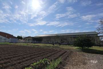 いとうたんぽぽ保育園