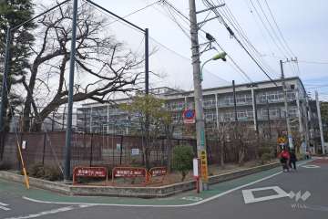 船橋小学校