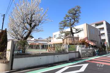 こひつじ幼稚園