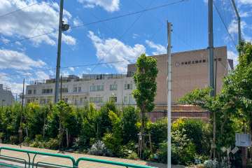 桃井第二小学校