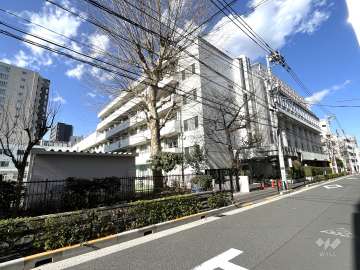 湯島小学校