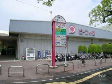 KOHYO(旧ピーコックストア) 津雲台店