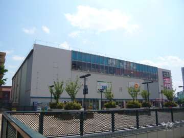 アマゴッタ