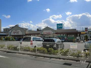 デイリーカナートイズミヤ 御影店