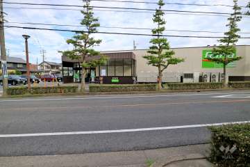 Felna 段の上店