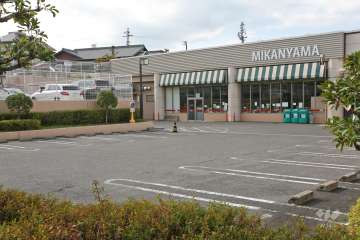フィール みかん山店