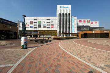 Corowa甲子園