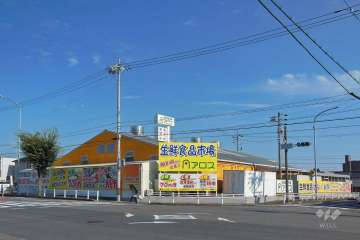 生鮮食品市場アロス 尾張旭店