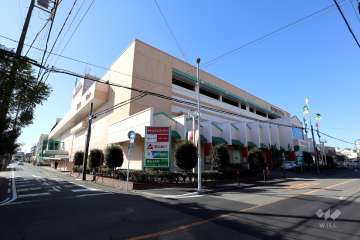 ヨシヅヤ 太平通り店