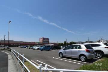 フィール ネットワーク店