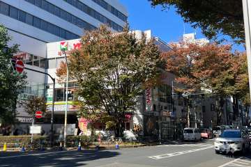 ヨークフーズ 阿佐谷店