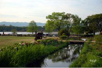 昆陽池公園