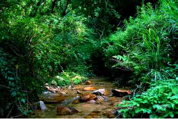 生瀬高台～森と川の散歩道～
