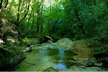 平井山荘～最明寺川沿いの山道～