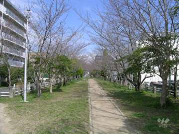 新船場南公園