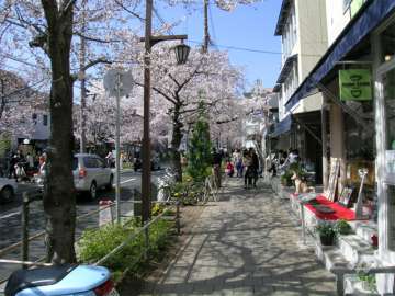 芦屋市本通り商店会