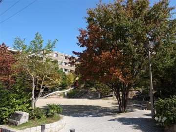 西緑丘新池公園