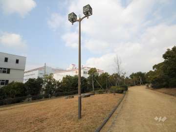 シティヒル西緑地