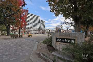 新道中央公園