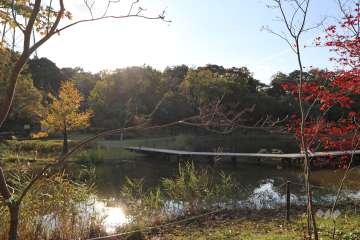 春日井市都市緑化公園