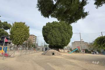 東中浜公園