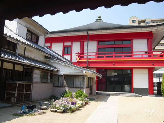 月影幼稚園
