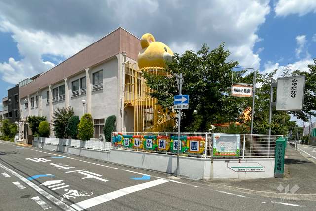 梅花幼稚園
