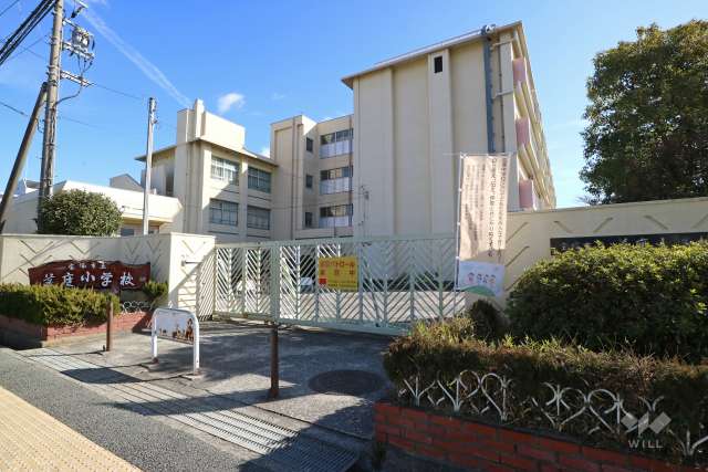 美座小学校