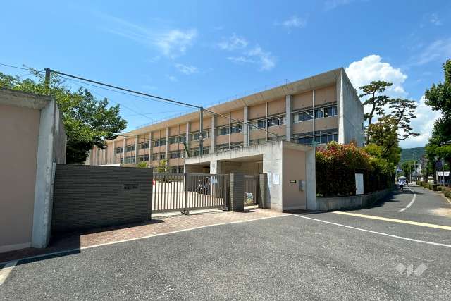 精道小学校
