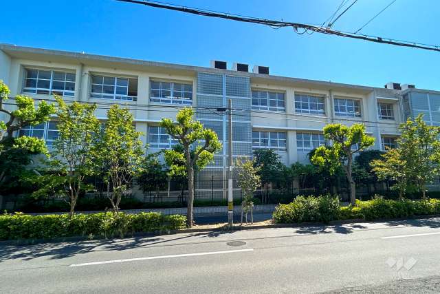 津門小学校