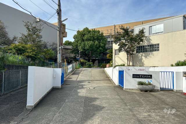 甲武中学校