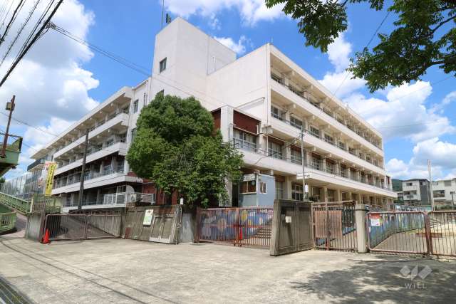中小学校