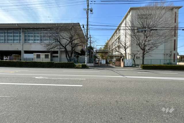 浜小学校