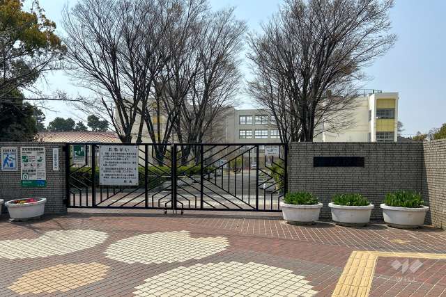 成文小学校