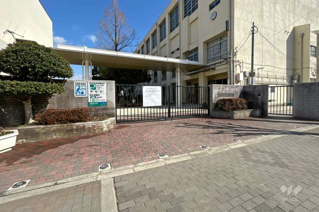 園田南小学校